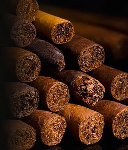magnum tobacco Montecristo White Magnum Especial Pack of 5 Cigars CigarPlace.com